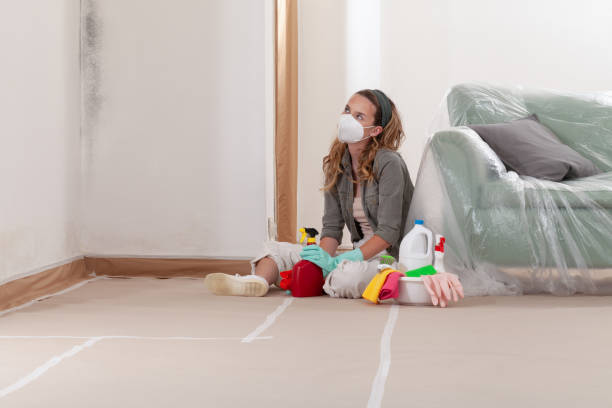 Reliable Mold Testing contractor in Liverpool, NY by WQB Mold Removal